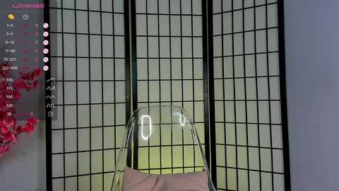 marielevis @ chaturbate on 20231126