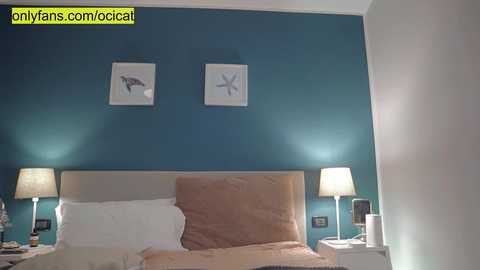 ocicat @ chaturbate on 20231128