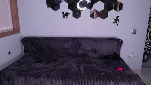 centaurihadar @ chaturbate on 20231201