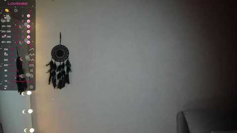 euphoria_life @ chaturbate on 20231201