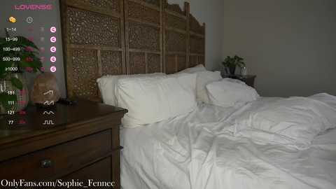 sophie_fennec @ chaturbate on 20231201