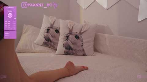 taanni_bc @ chaturbate on 20231201
