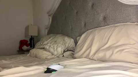 x_dreamgirl_x @ chaturbate on 20231201