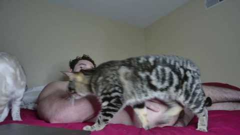 alphazack14 @ chaturbate on 20231202