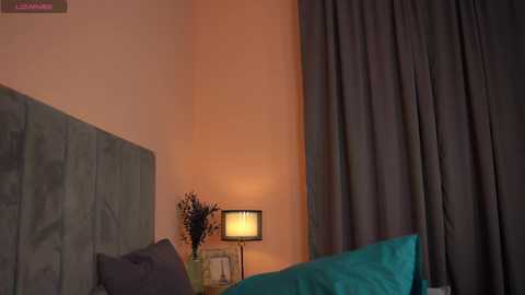 ammysky_ @ chaturbate on 20231202