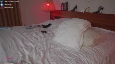 emilia98xxx @ chaturbate on 20231202