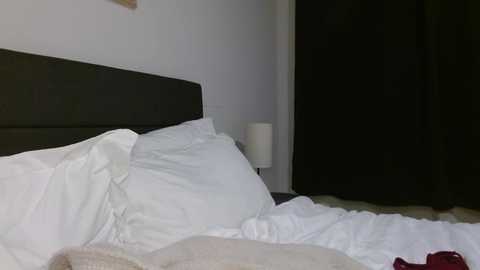 miafosterx @ chaturbate on 20231202