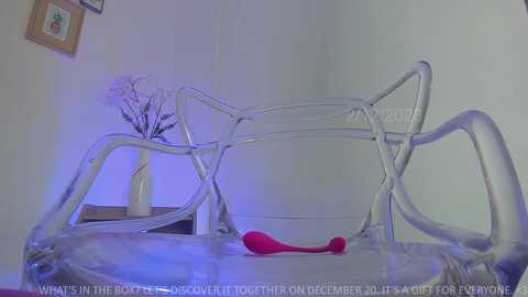 shena_nomy @ chaturbate on 20231202