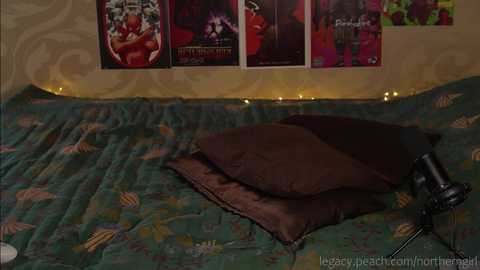 _northern_girl_ @ chaturbate on 20231203