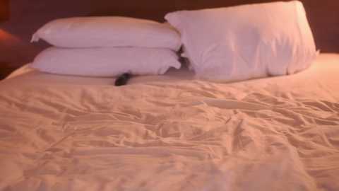 eva_fashionista @ chaturbate on 20231203