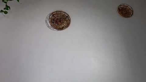 littlegreekflower @ chaturbate on 20231203