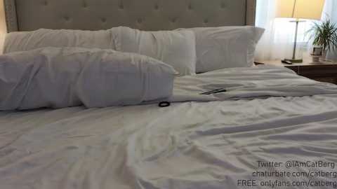 catberg @ chaturbate on 20231204