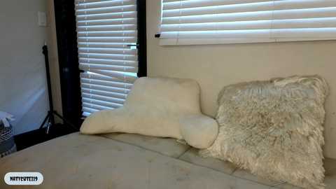 _natycutei19 @ chaturbate on 20231205