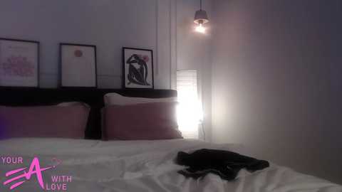 bigorgasm4us @ chaturbate on 20231205