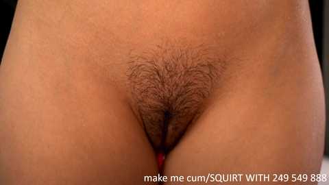 dovia @ chaturbate on 20231205