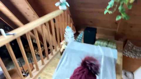 emersoncane @ chaturbate on 20231205