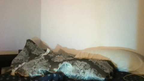 euphoriha @ chaturbate on 20231205