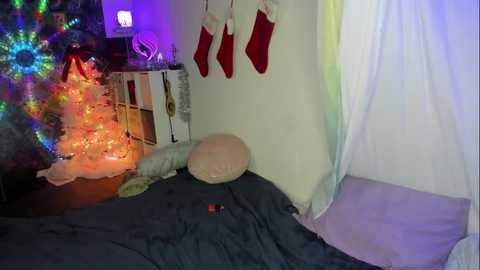 akgingersnaps @ chaturbate on 20231206