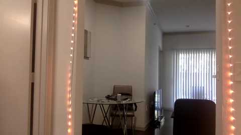 dndo21 @ chaturbate on 20231206
