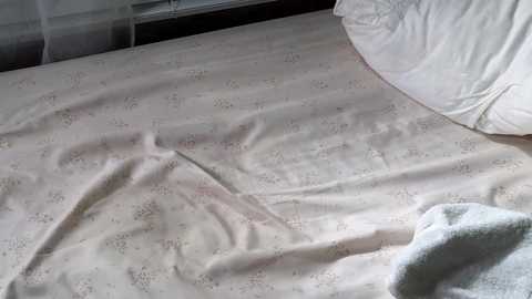 littlegreekflower @ chaturbate on 20231206