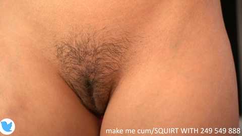 dovia @ chaturbate on 20231207