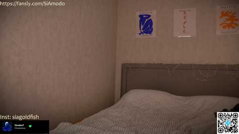 siamodo @ chaturbate on 20231207