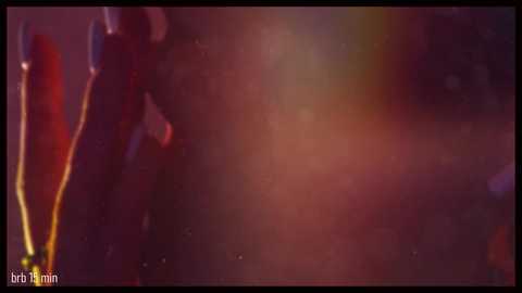 taanni_bc @ chaturbate on 20231207