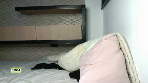 latinella @ chaturbate on 20231208