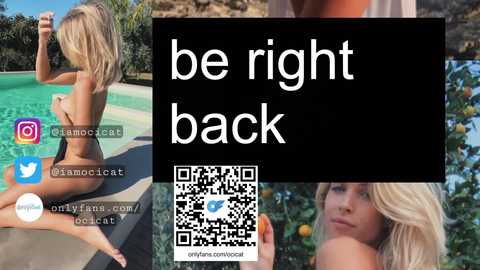 ocicat @ chaturbate on 20231208