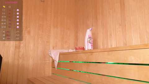 callme_star @ chaturbate on 20231209