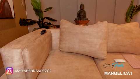 cute_molly18 @ chaturbate on 20231209