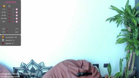 rebeccastonee @ chaturbate on 20231209