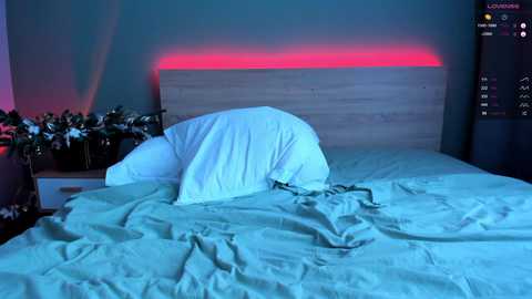 girl_next_door19 @ chaturbate on 20231210