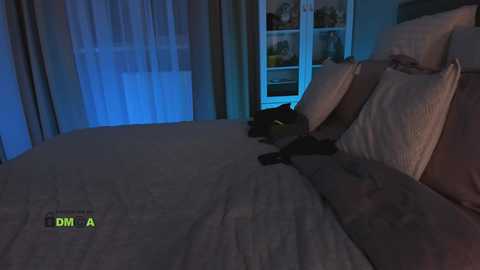 pippalee @ chaturbate on 20231210