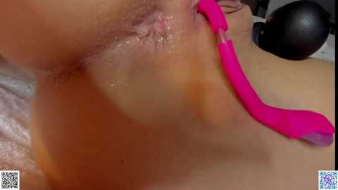 star_gazing @ chaturbate on 20231210