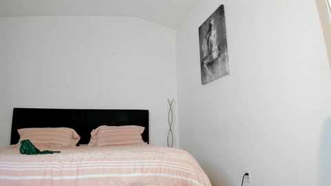 surecakes @ chaturbate on 20231211