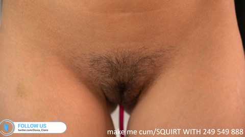 dovia @ chaturbate on 20231212
