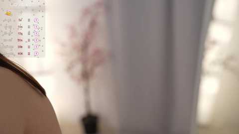 floret_joy @ chaturbate on 20231213