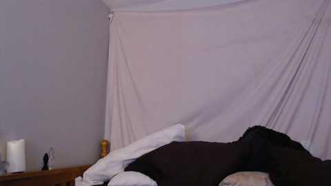 realivyvale