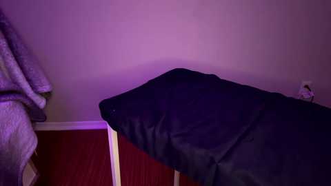 zayn_hawk @ chaturbate on 20231214