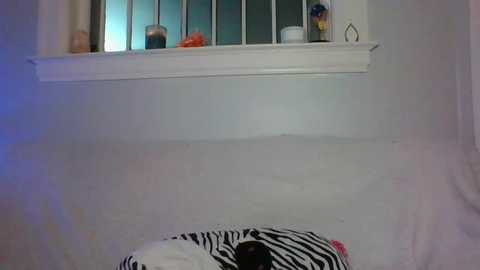 petitegirluvsdick @ chaturbate on 20231215