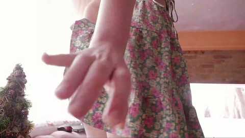 clementine__ @ chaturbate on 20231216