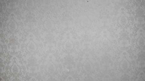 laurenshannons @ chaturbate on 20231216