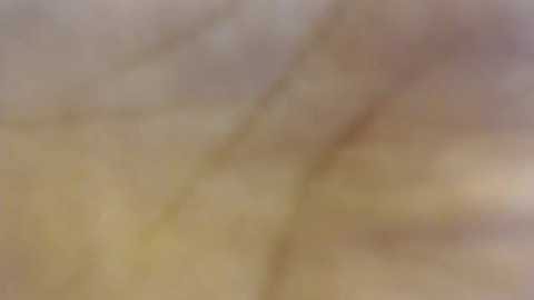 dongfatherproductions @ chaturbate on 20231217