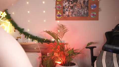 bunnybonn1e @ chaturbate on 20231218