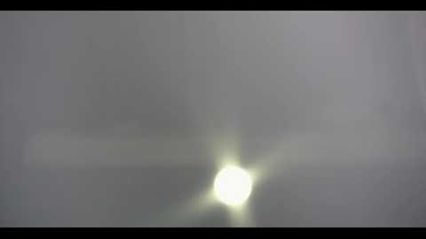 arielday @ chaturbate on 20231219