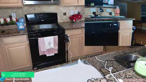 crimsonkitten @ chaturbate on 20231219