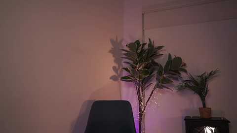 letiziafulkers1 @ chaturbate on 20231220