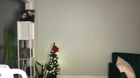 littlesugarpea @ chaturbate on 20231220