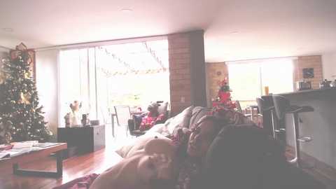 kendalltyler @ chaturbate on 20231221